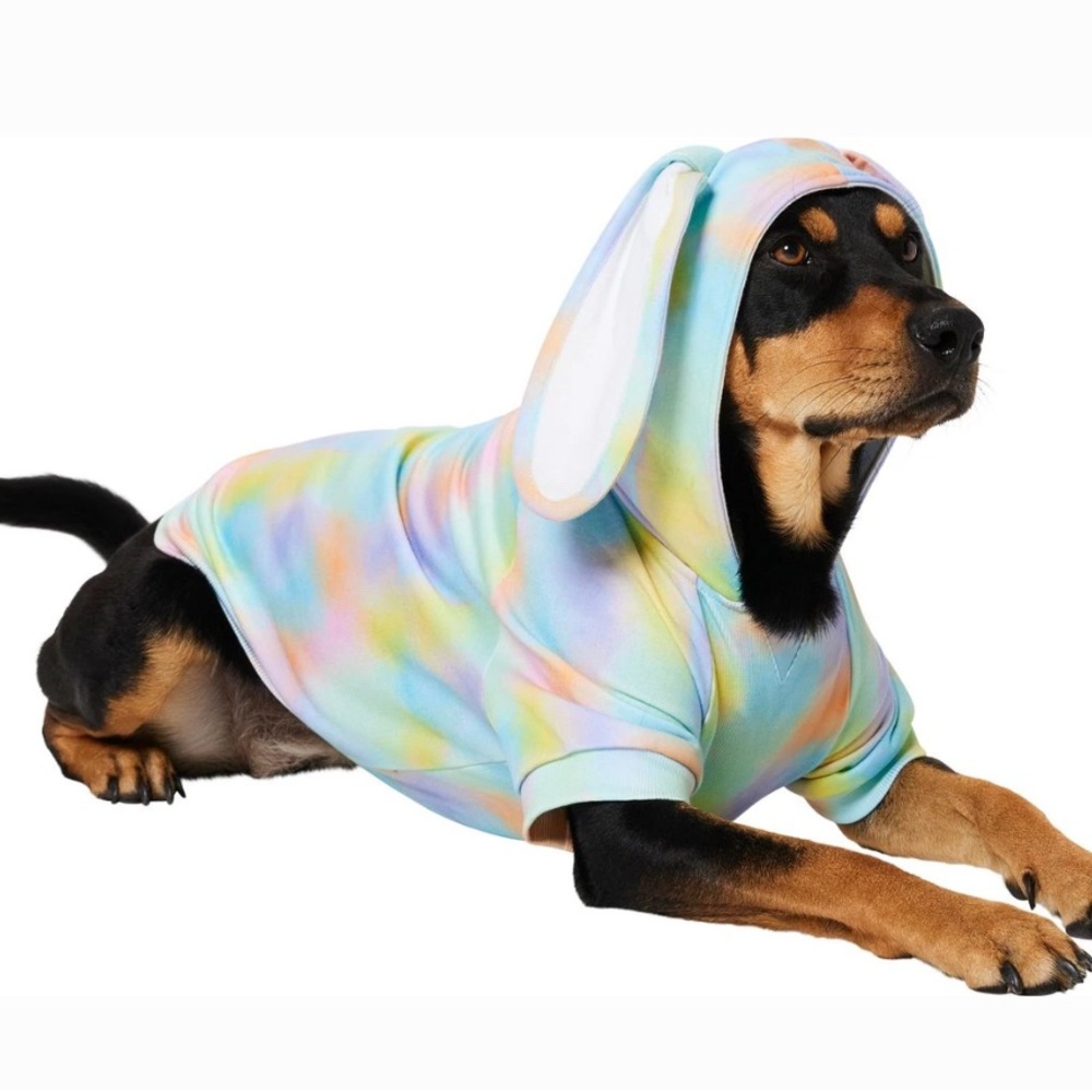 Frisco Wash Effect Bunny Ear Hoodie, Large